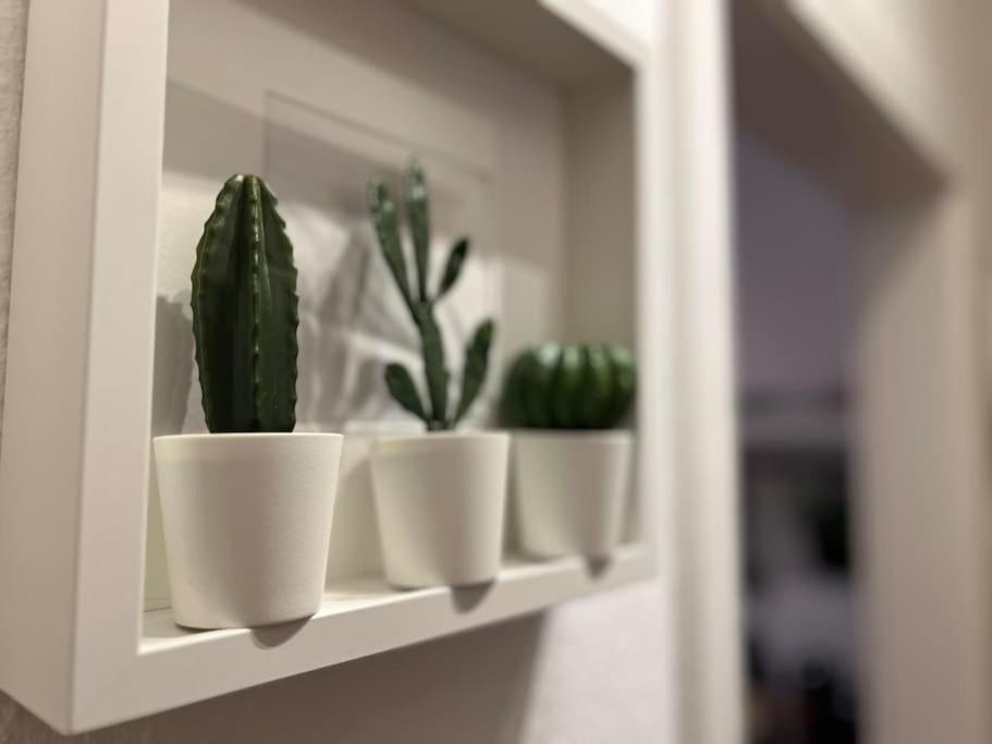 Stadtoase Design Wohnung In Der Altstadt Von Koblenz 科布倫茨 外观 照片