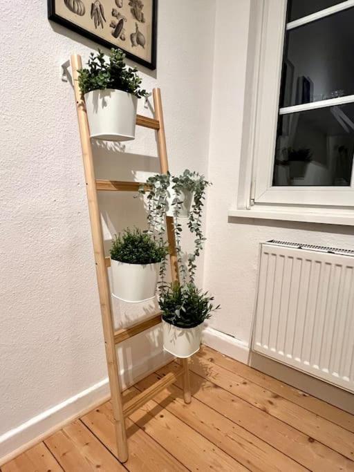 Stadtoase Design Wohnung In Der Altstadt Von Koblenz 科布倫茨 外观 照片