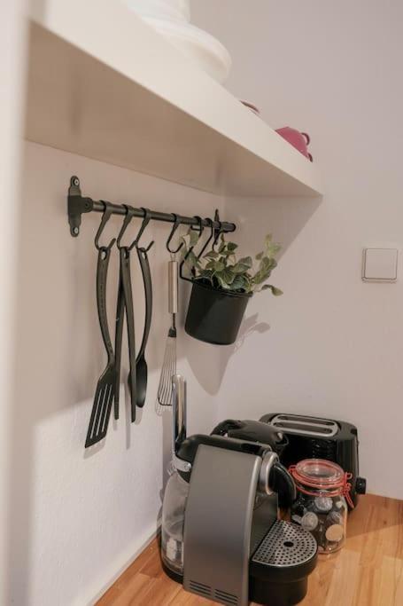 Stadtoase Design Wohnung In Der Altstadt Von Koblenz 科布倫茨 外观 照片