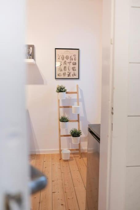 Stadtoase Design Wohnung In Der Altstadt Von Koblenz 科布倫茨 外观 照片