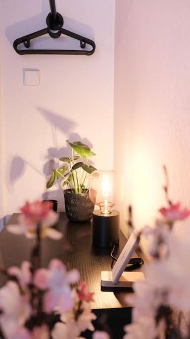 Stadtoase Design Wohnung In Der Altstadt Von Koblenz 科布倫茨 外观 照片