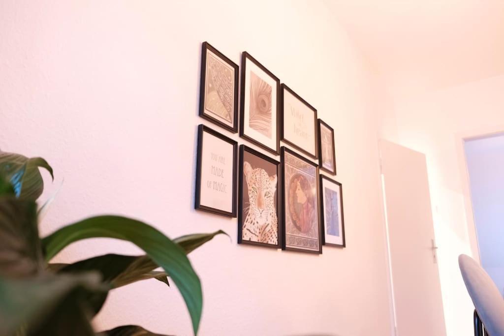 Stadtoase Design Wohnung In Der Altstadt Von Koblenz 科布倫茨 外观 照片
