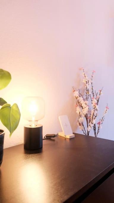 Stadtoase Design Wohnung In Der Altstadt Von Koblenz 科布倫茨 外观 照片