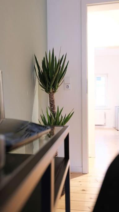 Stadtoase Design Wohnung In Der Altstadt Von Koblenz 科布倫茨 外观 照片
